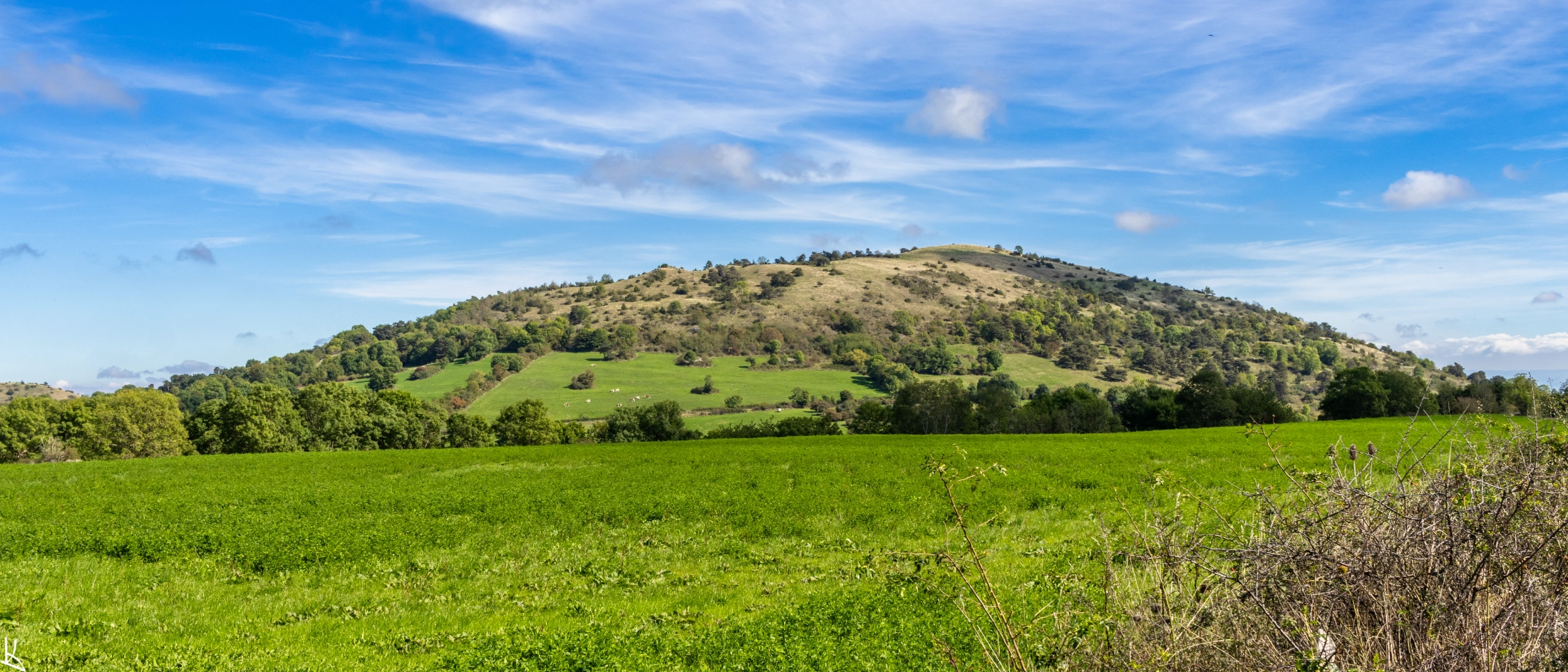 Le Puy d'Olloix depuis le plateau de Sailles